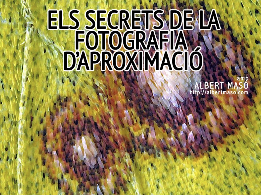 Els Secrets de la Fotografia Macro