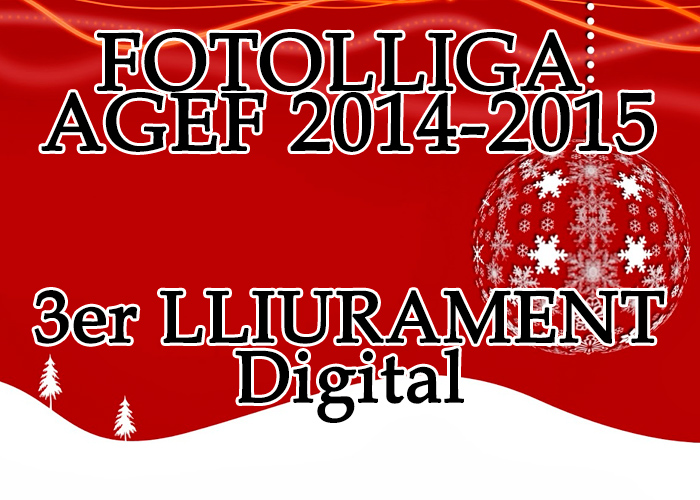 3er-fotolliga2015