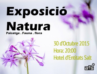 Exposició Natura: Paisatge, fauna, flora