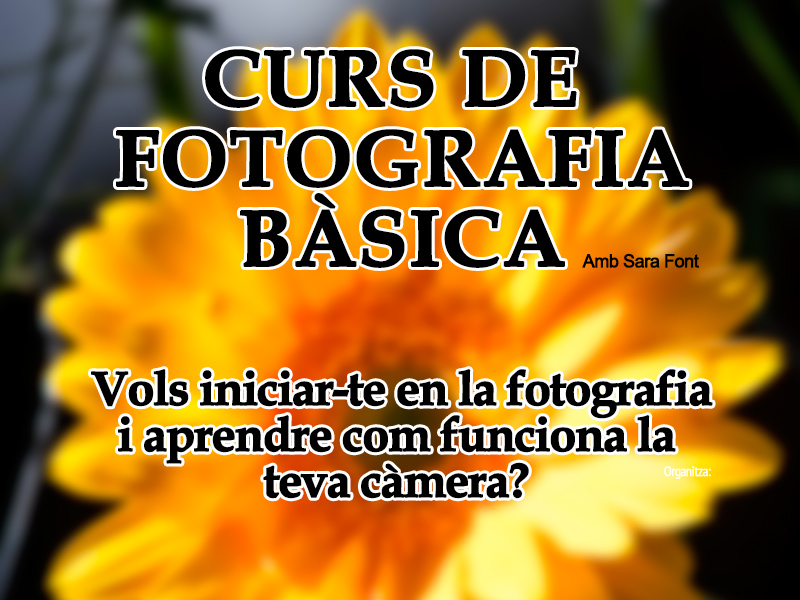 Cartell2-Curs-Foto-Basica-2016