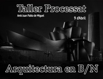 Taller Processat d’Arquitectura en B/N