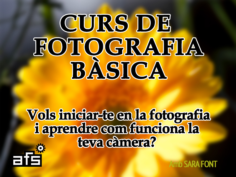 cartell2-curs-foto-basica-2016