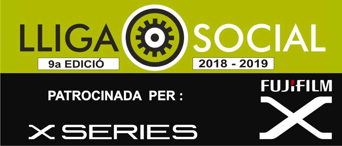 Bases i Temes Lliga Social 2018-2019