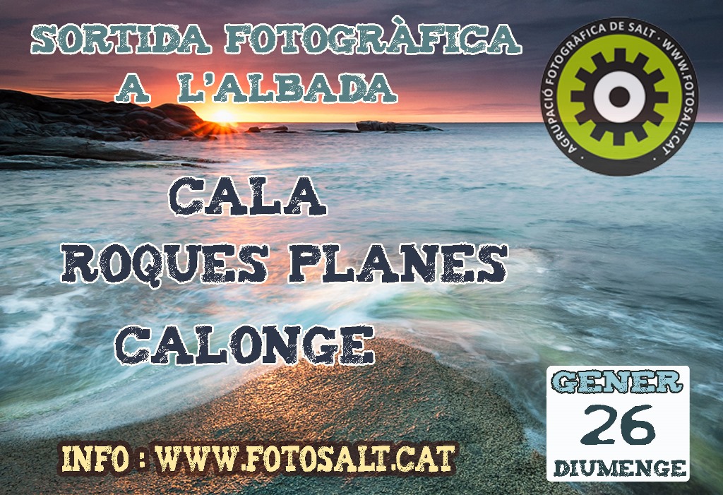 CartelRoques Planes