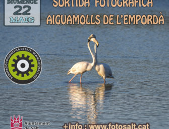 Sortida Fotogràfica de natura i aus – Aiguamolls de l’Empordà